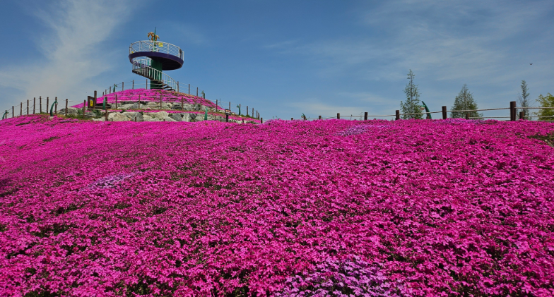 스크린샷 2026-04-22 111826.png