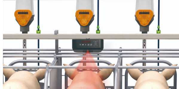 캡처 444444444.PNG