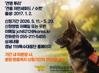 XNFL투리.gif