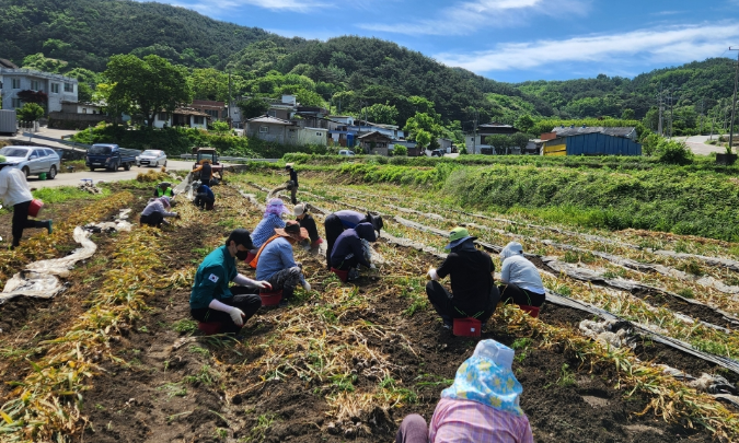 스크린샷 2026-06-05 113208.png