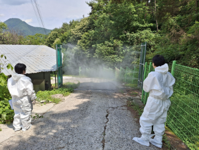 스크린샷 2026-06-10 124224.png