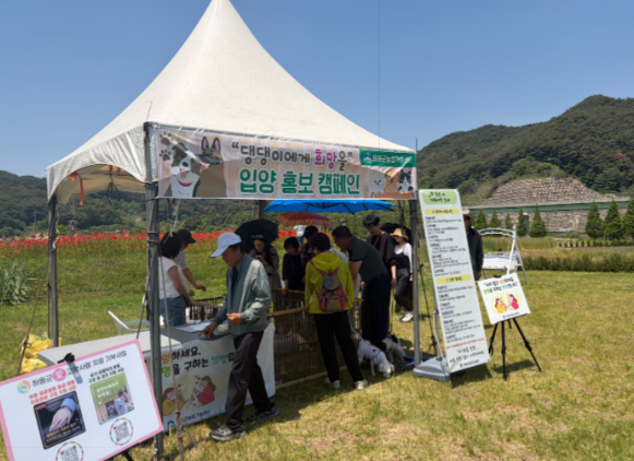 스크린샷 2026-06-15 111412.png