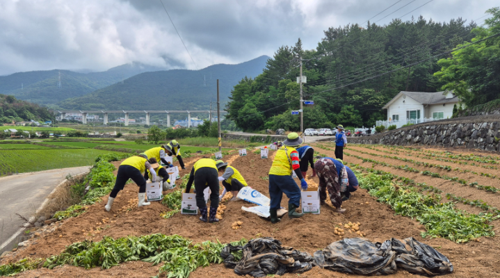 스크린샷 2026-06-19 113333.png