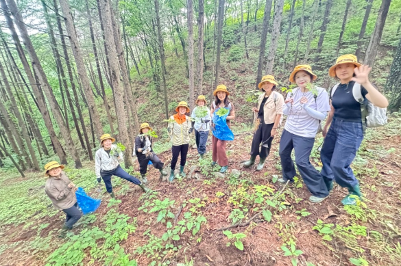 스크린샷 2026-07-24 112102.png