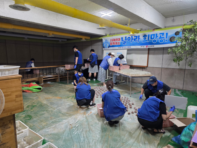 와이5.jpg