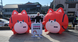 고양이섬.PNG