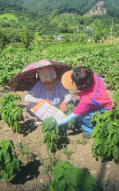 스크린샷 2026-07-31 110746.png